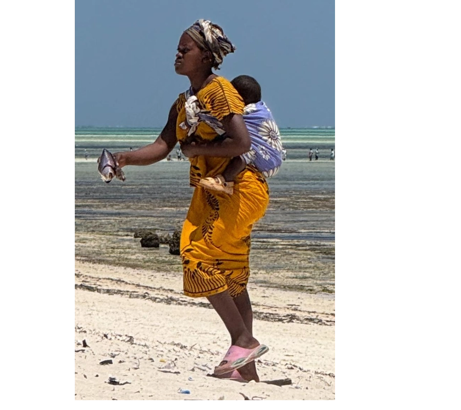 Kenya Dalış & Safari Turu