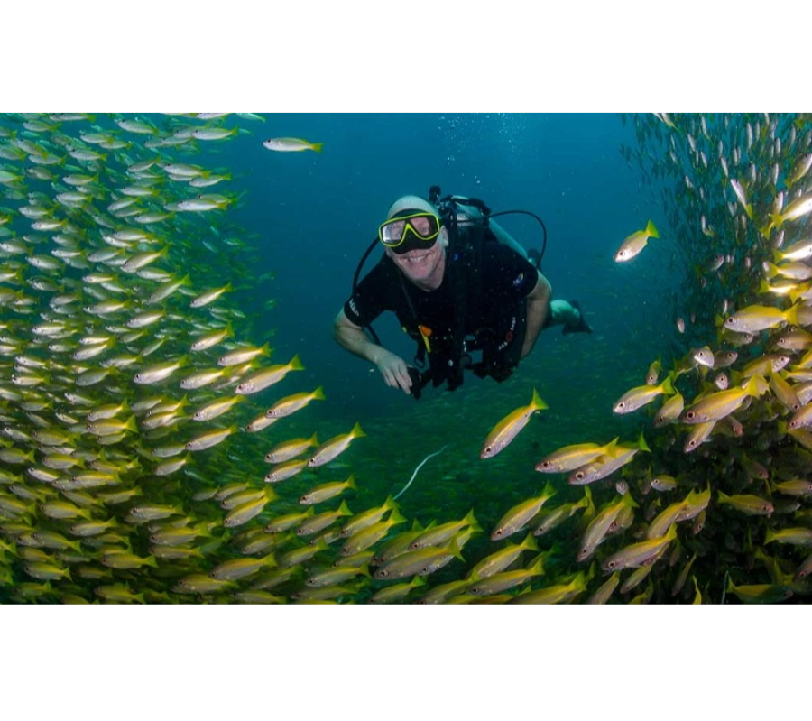 PHUKET DALIŞ TURU