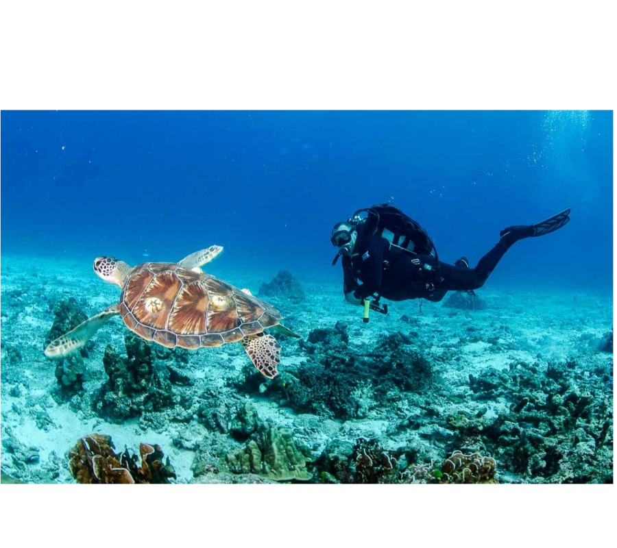 Phuket/Tayland Dalış Turu 2026 - Fotoğraf 9