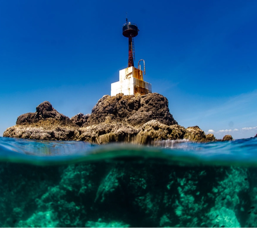 Phuket/Tayland Dalış Turu 2026 - Fotoğraf 11