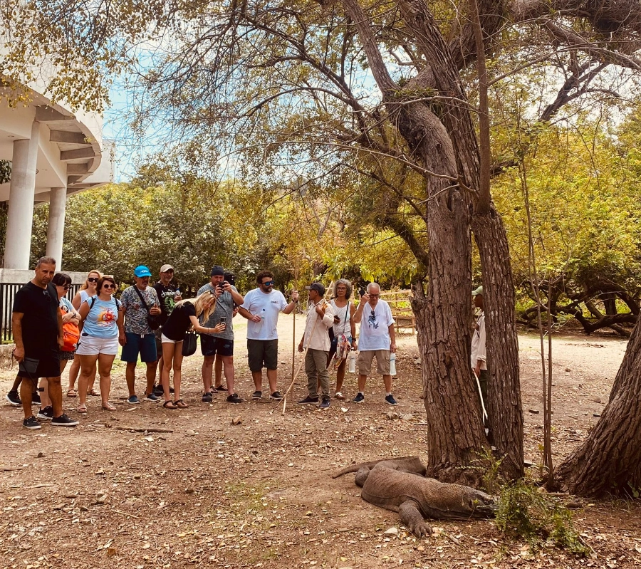 SCUBA-BAY Komodo Dalış Turu | Eylül 2026 - Fotoğraf 32