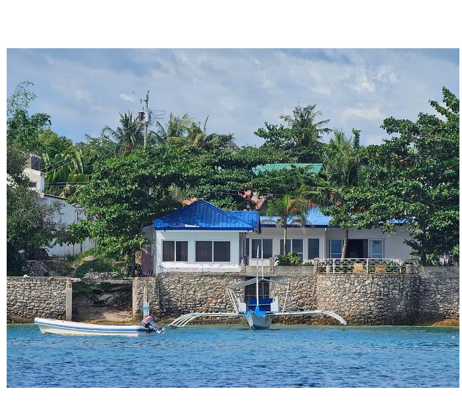 Filipinler Moalboal Dalış Turu