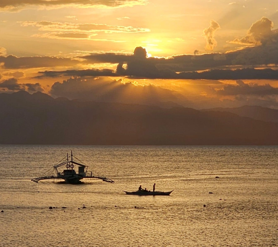 Filipinler Moalboal Dalış Turu