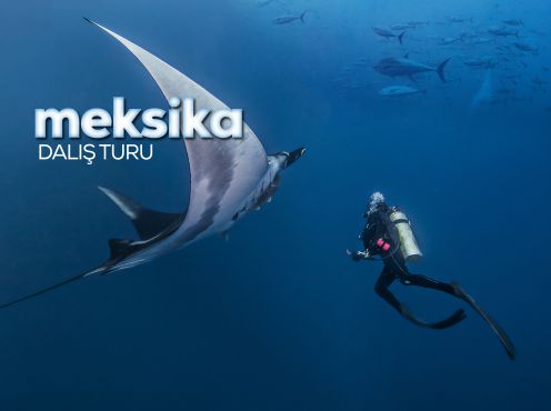 MEKSİKA DALIŞ TURU